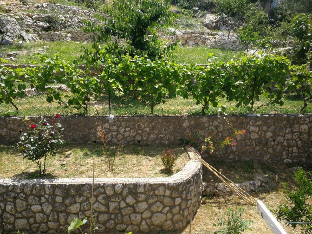 Tim Appartement Kotor Buitenkant foto
